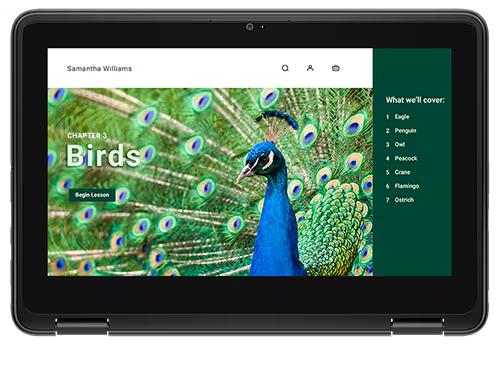 Dell Chromebook 3120 11.6" Touch — Intel N100, 8GB/64GB